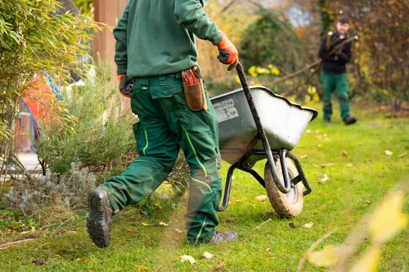Lawn Care projects in the Owensboro area